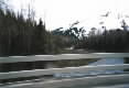 Creek on Seward Highway
